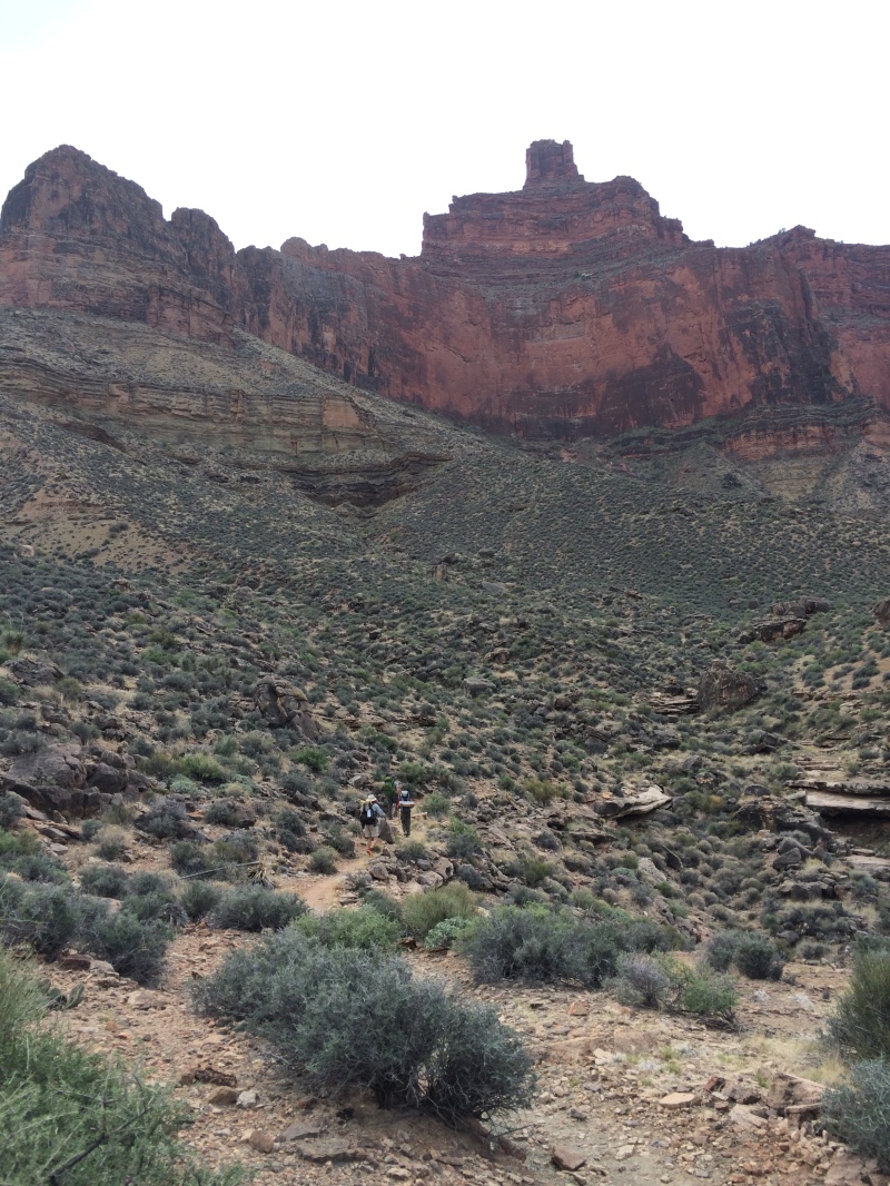 2015-03-19-Grand-Canyon-28-Landscape.jpg