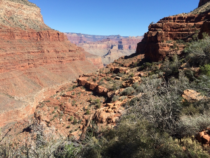 2015-03-20-Grand-Canyon-18-Landscape.jpg