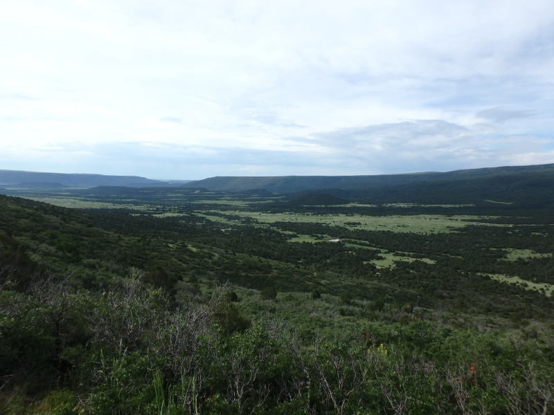 2015-07-02-Philmont-4star-04-Landscape.JPG