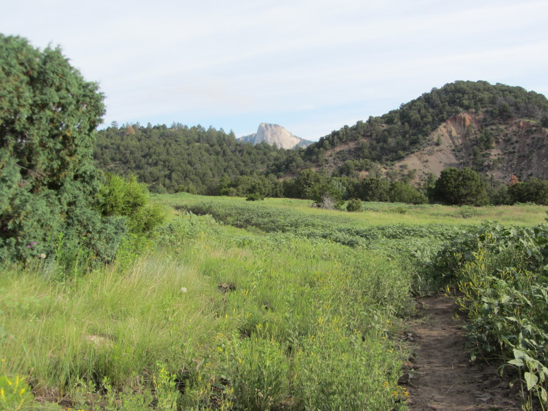 2015-07-03-Philmont-4star-05-Landscape-Tooth-of-Time.JPG