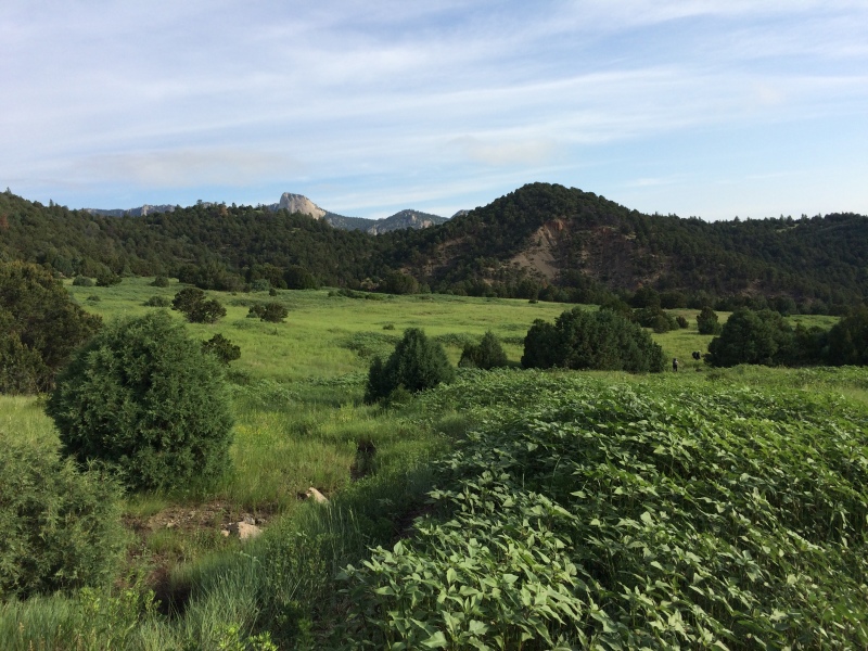 2015-07-03-Philmont-5star-012-Landscape-Tooth-of-Time.jpg