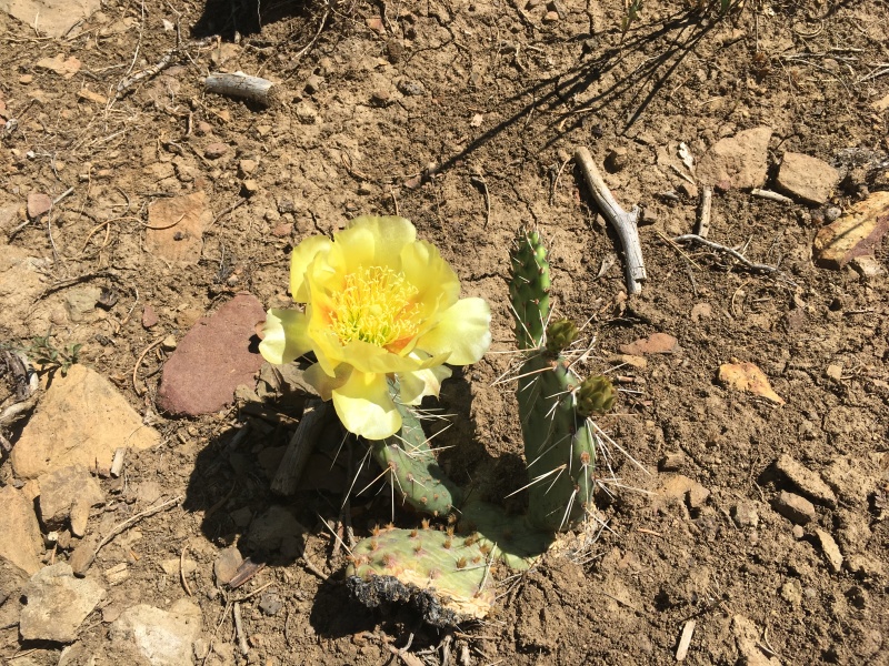 2019-06-19-Philmont-Crew8787-15-Landscape.JPG