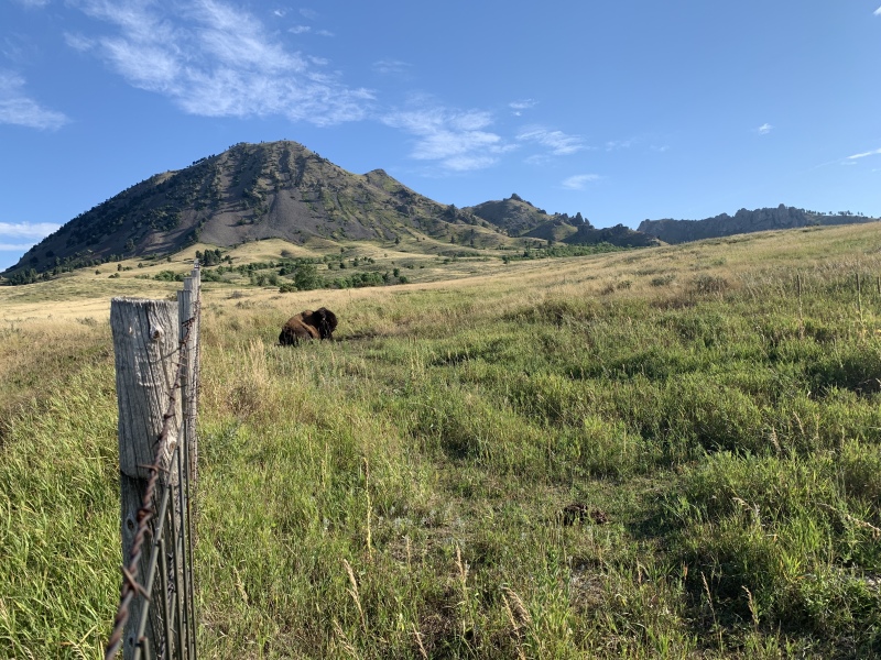 2020-08-12-Sturgis-09-Bear-Butte-bike-ride-Landscape-GOOD.JPG