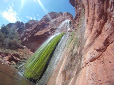 2015-03-17-Grand-Canyon-30-Ribbon-Falls-Landscape.jpg
