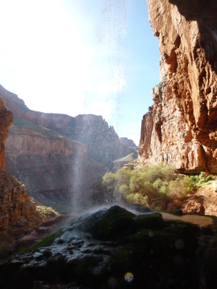 2015-03-17-Grand-Canyon-4star-13-Ribbon-Falls-Landscape.jpg