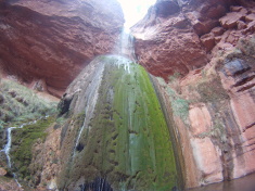 2015-03-17-Grand-Canyon-4star-61-Ribbon-Falls-Landscape.jpg