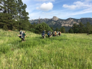 2015-07-03-Philmont-4star-10-Dax-PatDuffy-Nathan-Will-Sebastian-Chance-Tooth-of-Time-Landscape.JPG