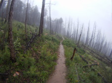 2015-07-07-Philmont-5star-001-Landscape.jpg