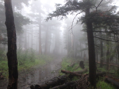 2015-07-07-Philmont-5star-029-Ewells-Park-Landscape-GOOD.jpg