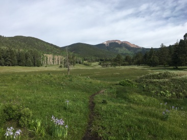 2019-06-15-Philmont-Crew8787-2-Landscape.JPG